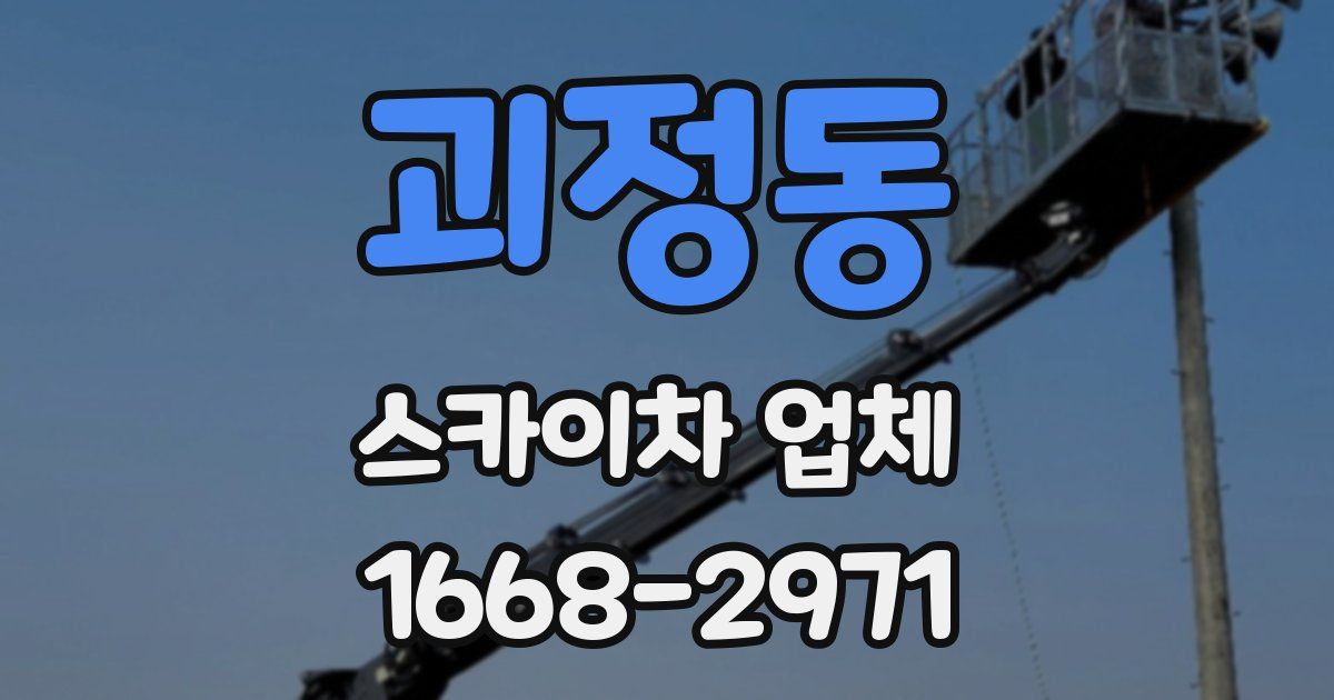 괴정동 스카이차 업체