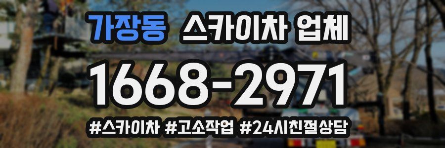 가장동 스카이차 업체