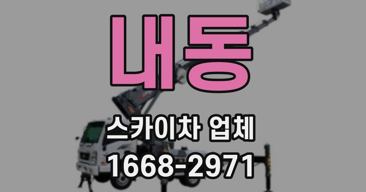 내동 스카이차 업체