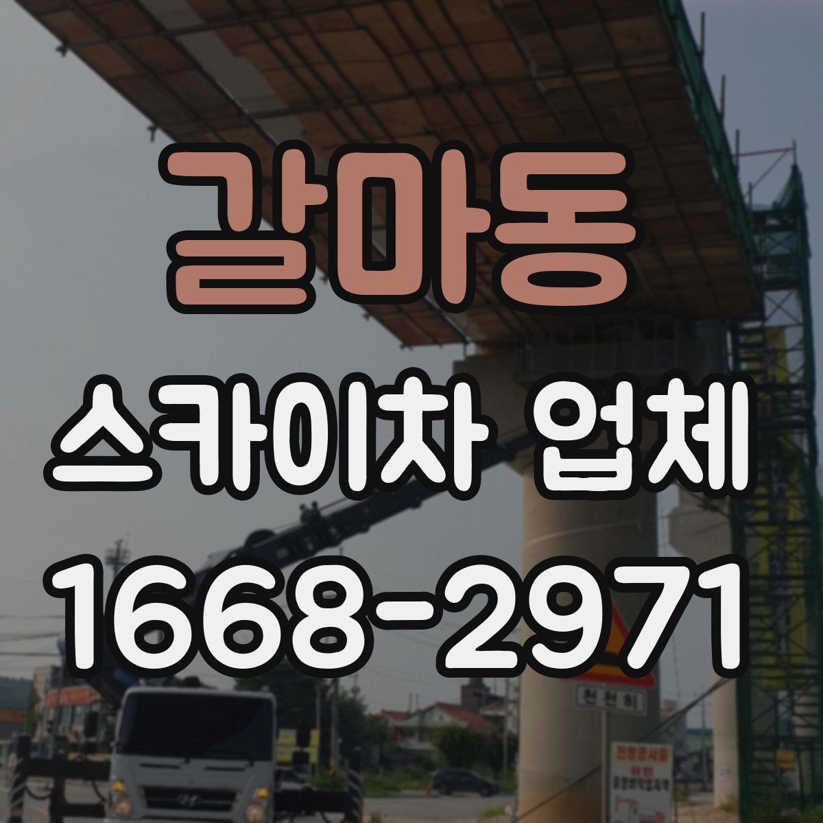 갈마동 스카이차 업체