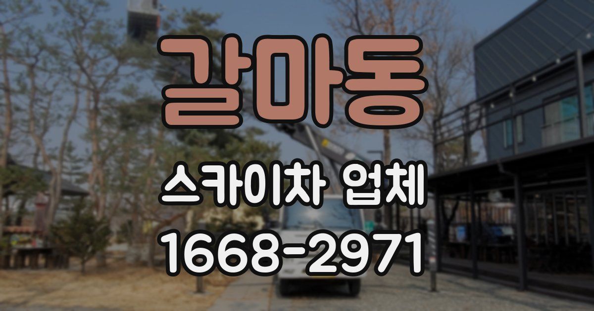 갈마동 스카이차 업체