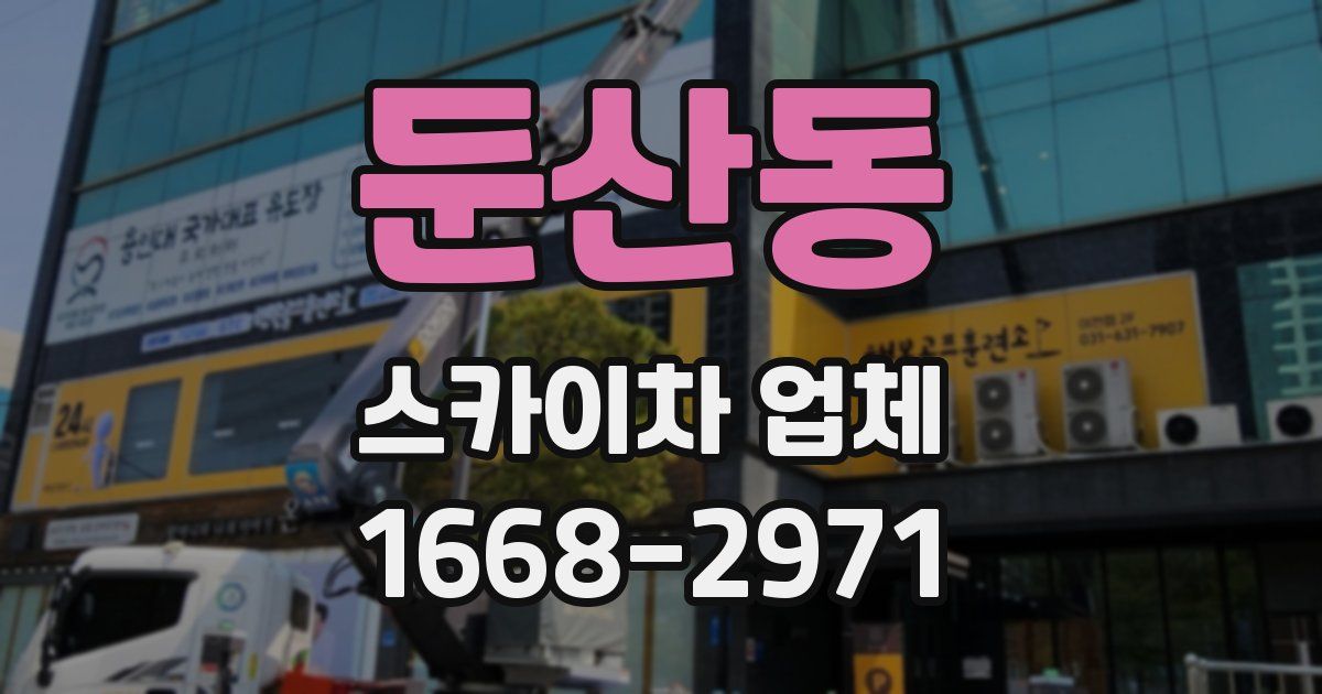 둔산동 스카이차 업체