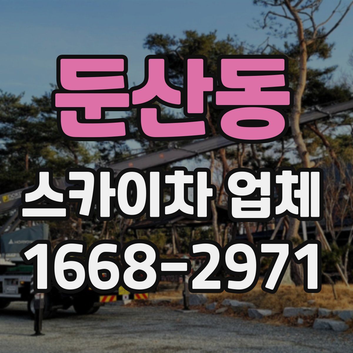 둔산동 스카이차 업체