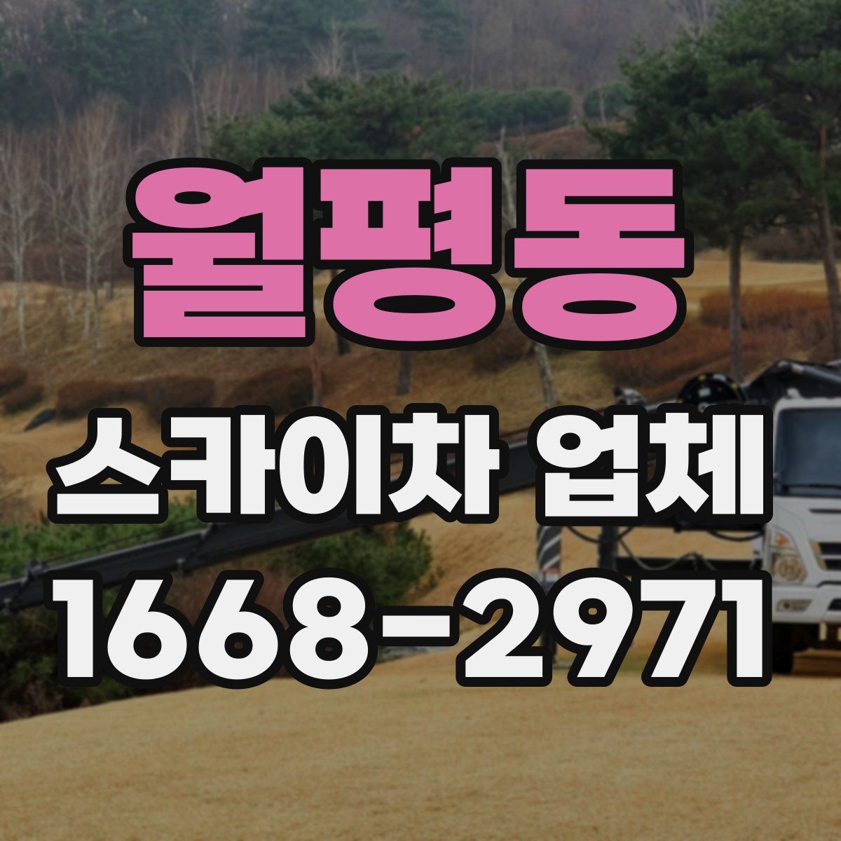 월평동 스카이차 업체