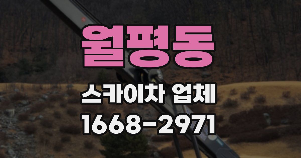 월평동 스카이차 업체