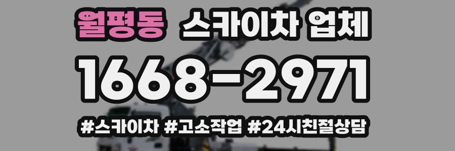 월평동 스카이차 업체