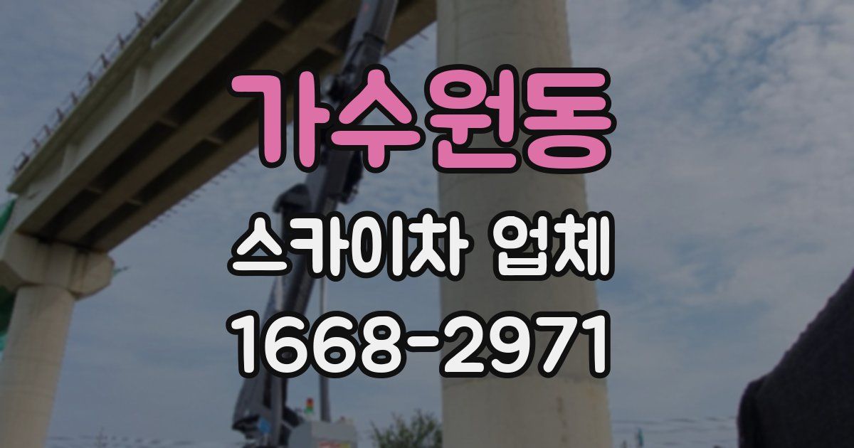 가수원동 스카이차 업체