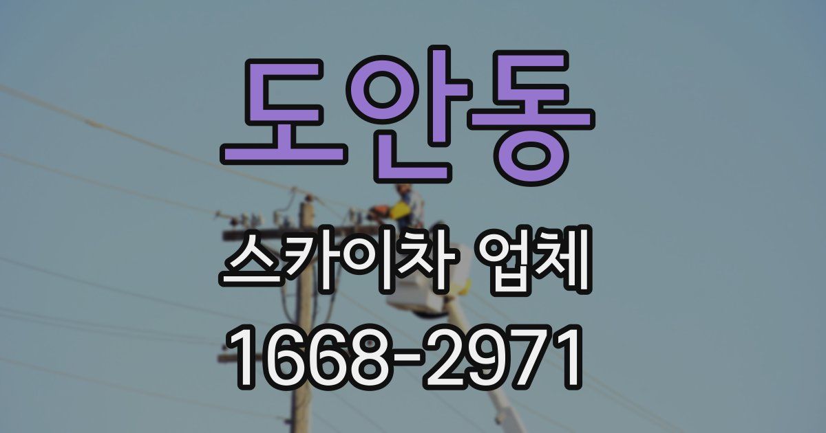 도안동 스카이차 업체