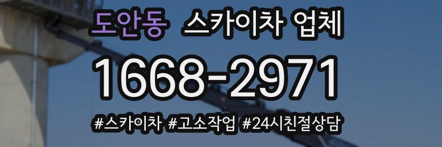 도안동 스카이차 업체