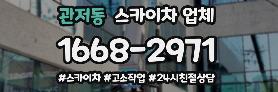 관저동 스카이차 업체
