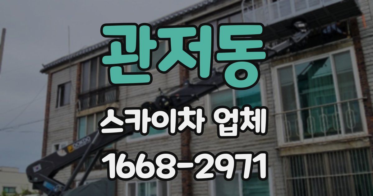 관저동 스카이차 업체