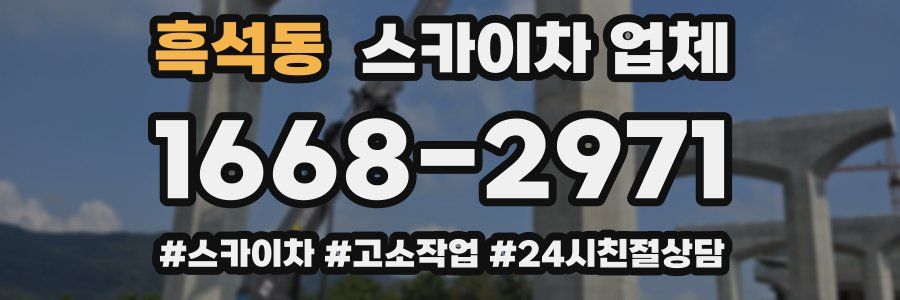 흑석동 스카이차 업체