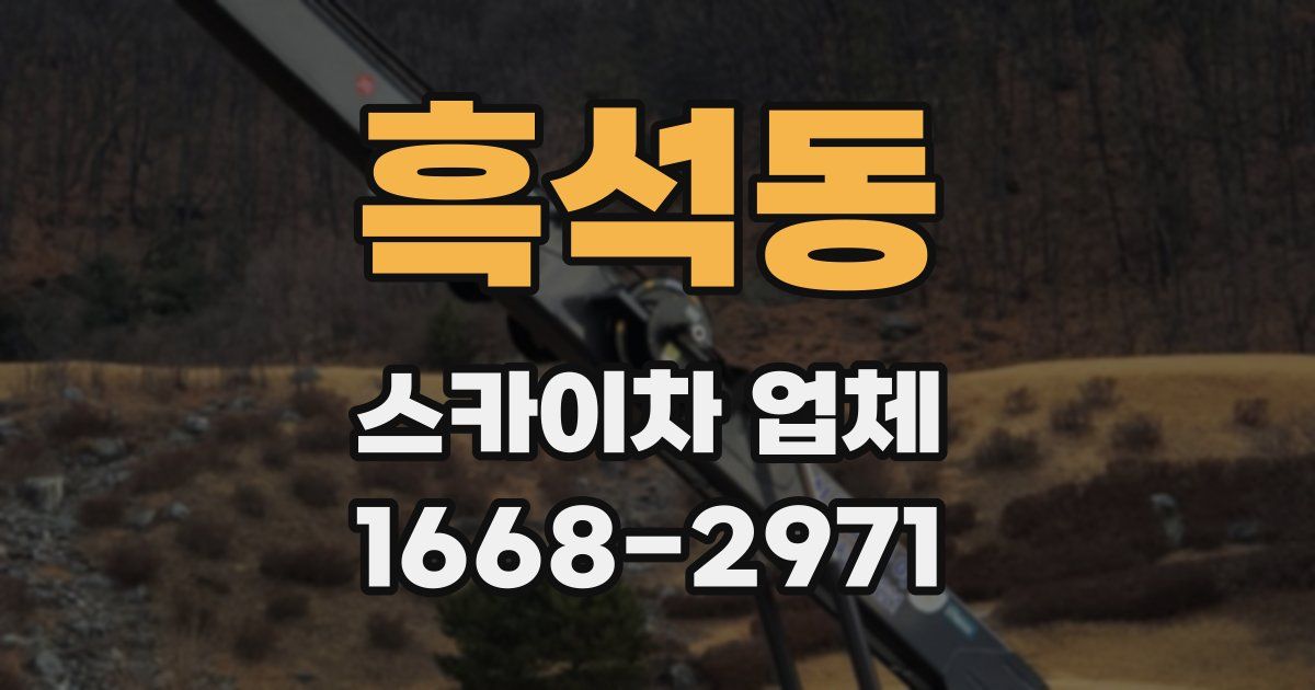 흑석동 스카이차 업체