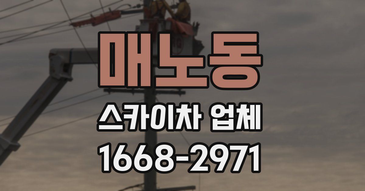 매노동 스카이차 업체