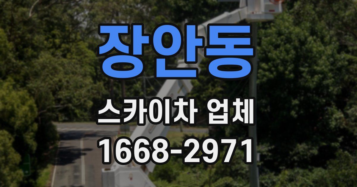 장안동 스카이차 업체