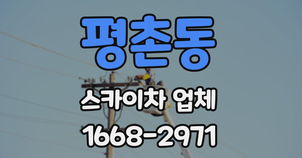 평촌동 스카이차 업체