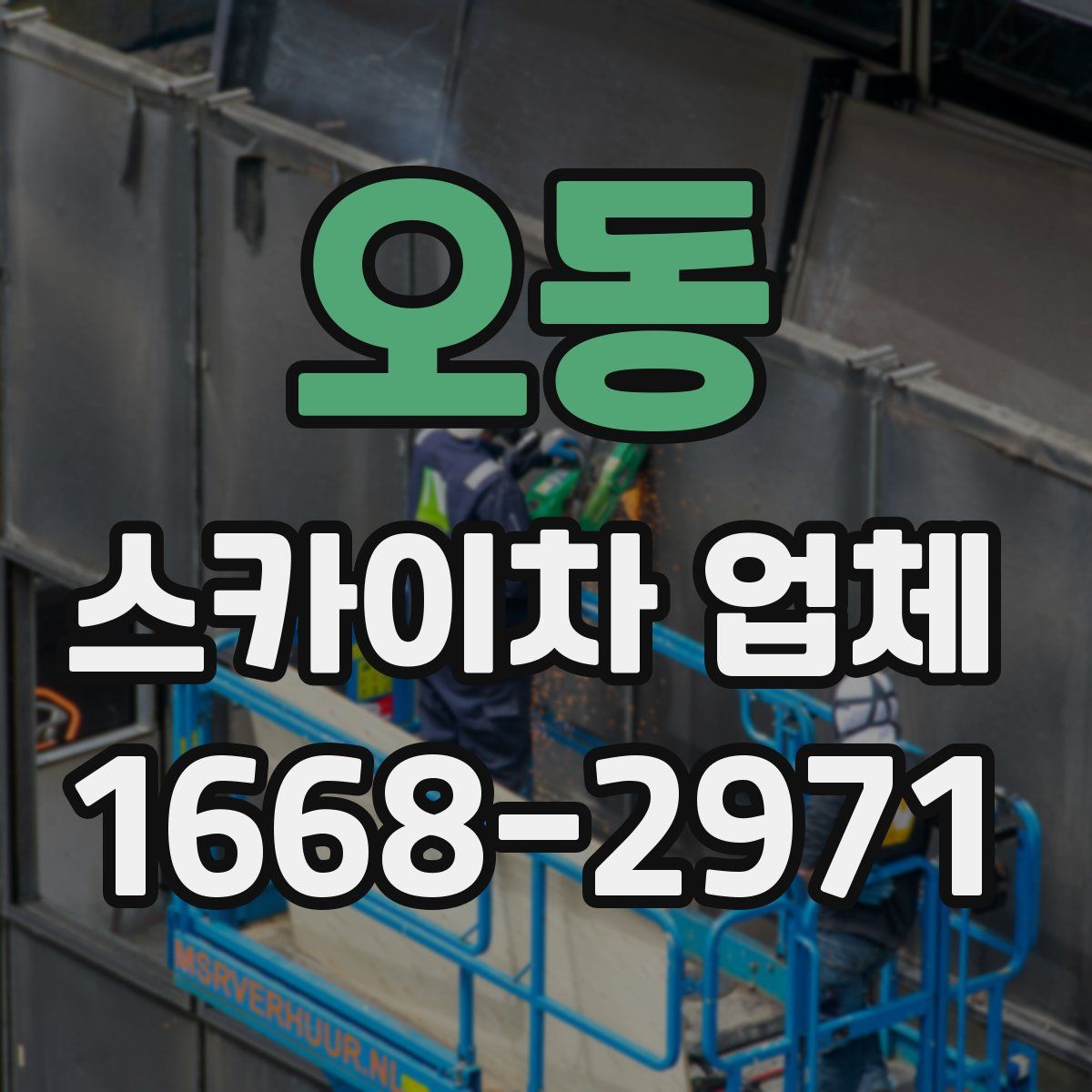 오동 스카이차 업체