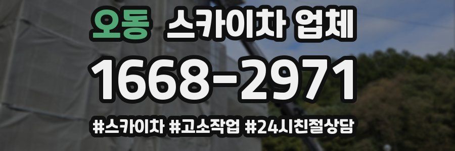 오동 스카이차 업체