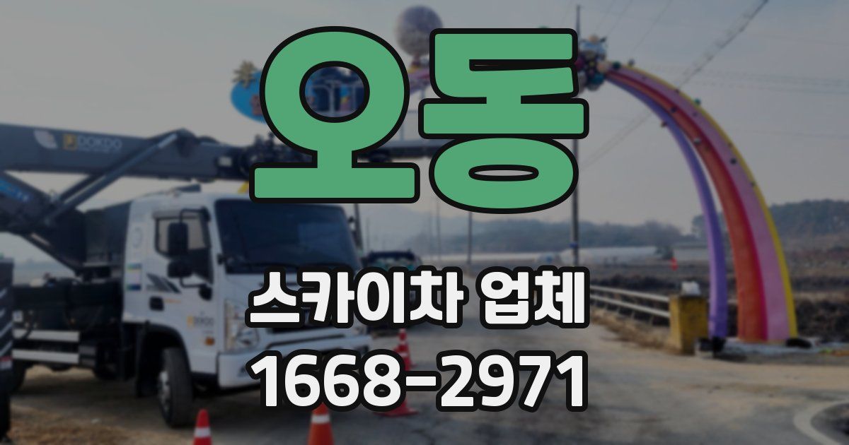 오동 스카이차 업체