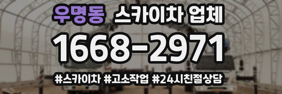 우명동 스카이차 업체