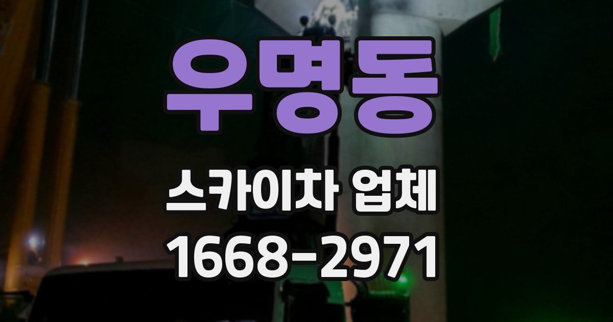 우명동 스카이차 업체