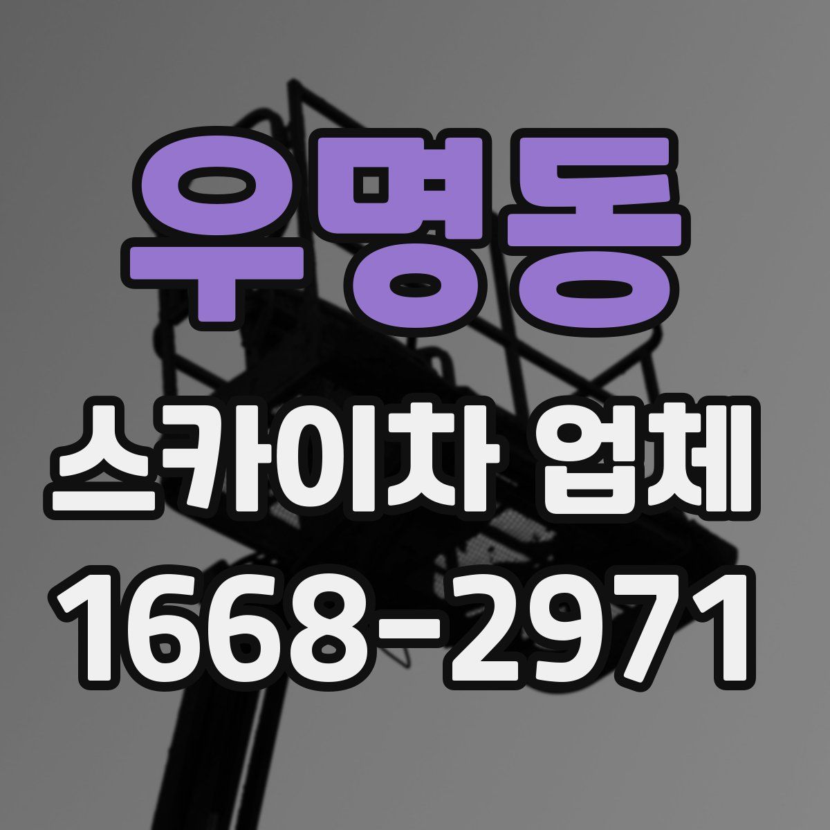우명동 스카이차 업체