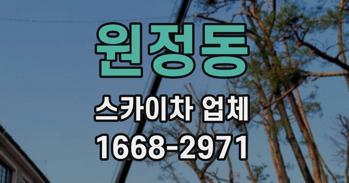 원정동 스카이차 업체