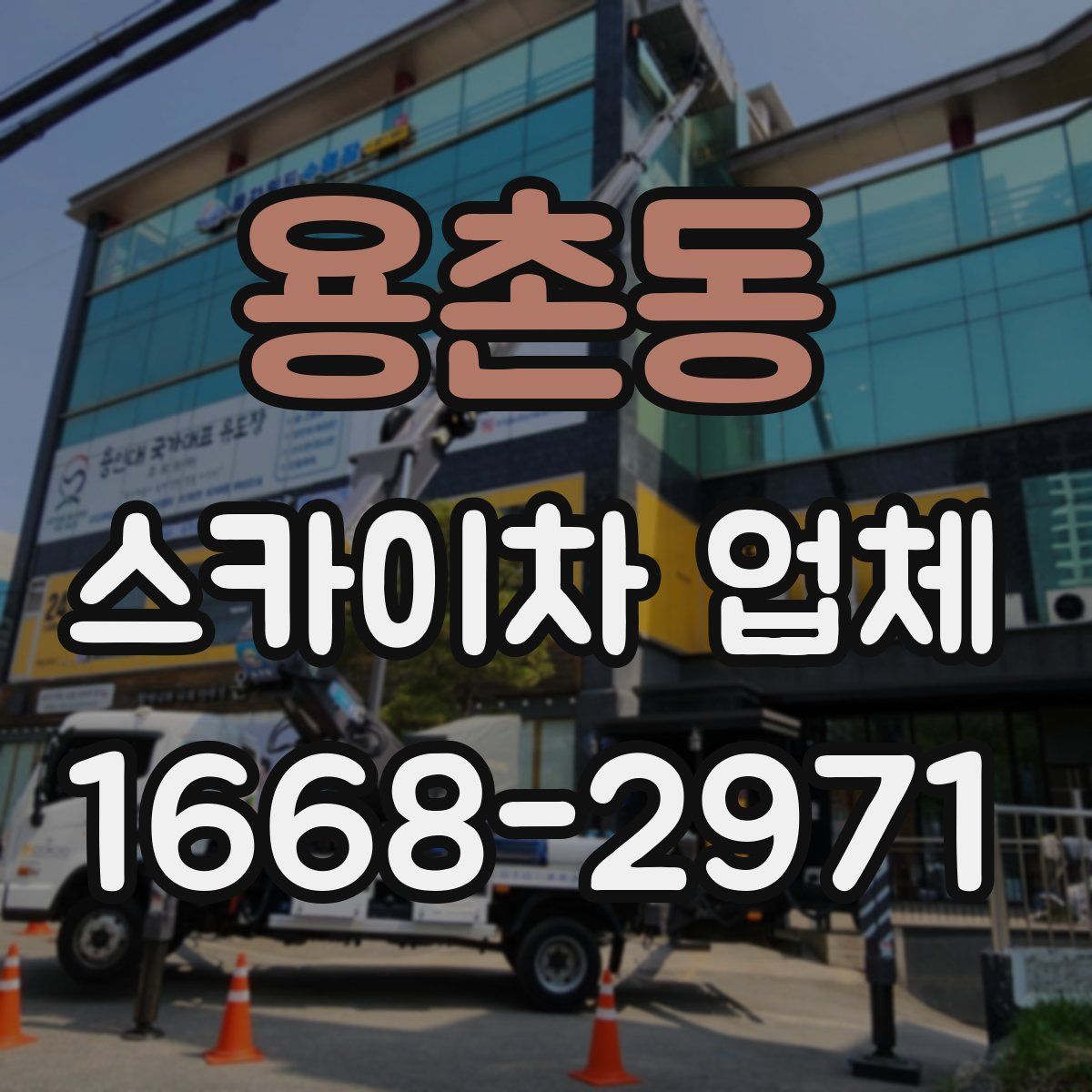 용촌동 스카이차 업체