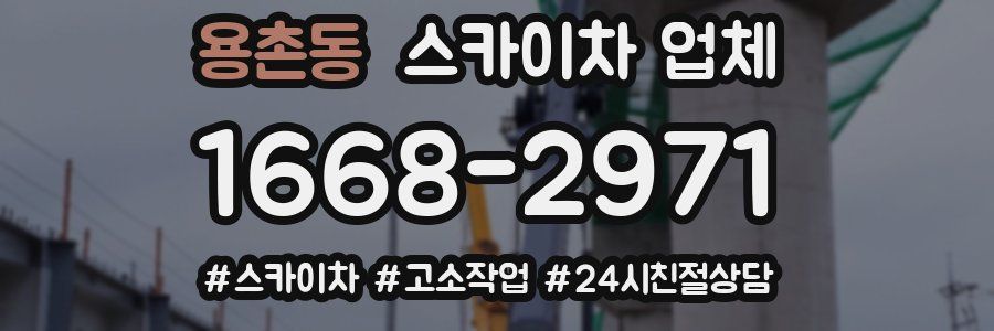 용촌동 스카이차 업체