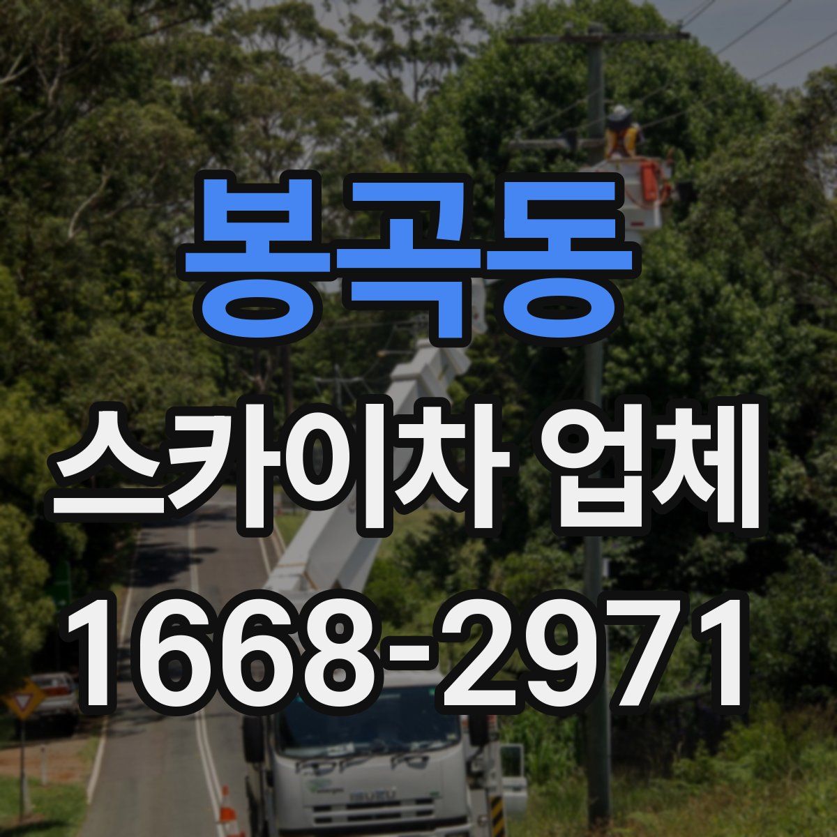 봉곡동 스카이차 업체