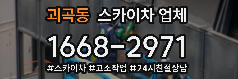 괴곡동 스카이차 업체