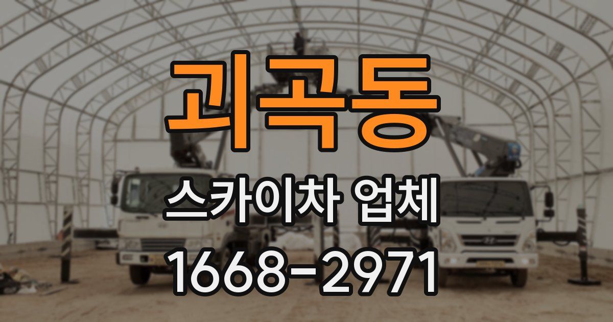 괴곡동 스카이차 업체