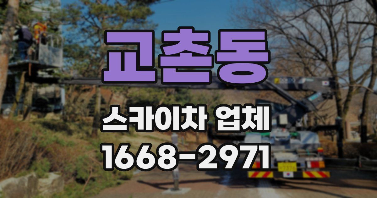 교촌동 스카이차 업체