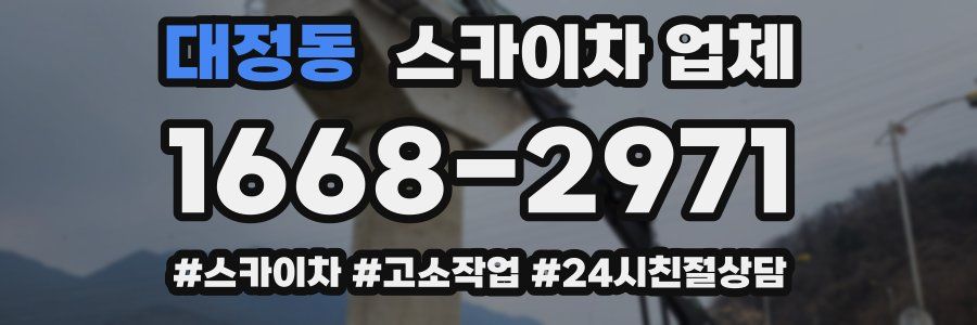 대정동 스카이차 업체