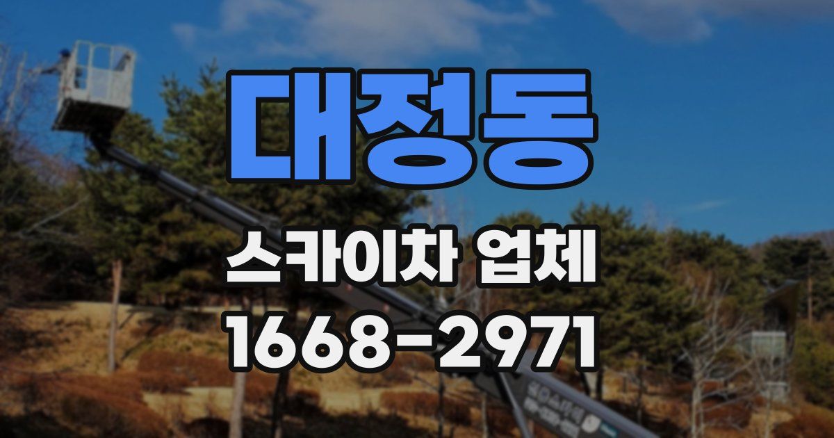 대정동 스카이차 업체