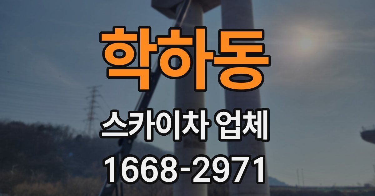 학하동 스카이차 업체