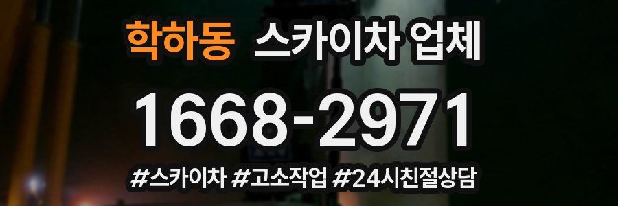학하동 스카이차 업체