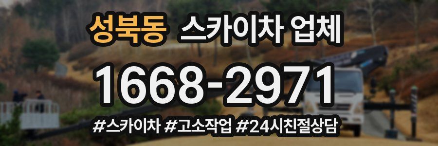 성북동 스카이차 업체