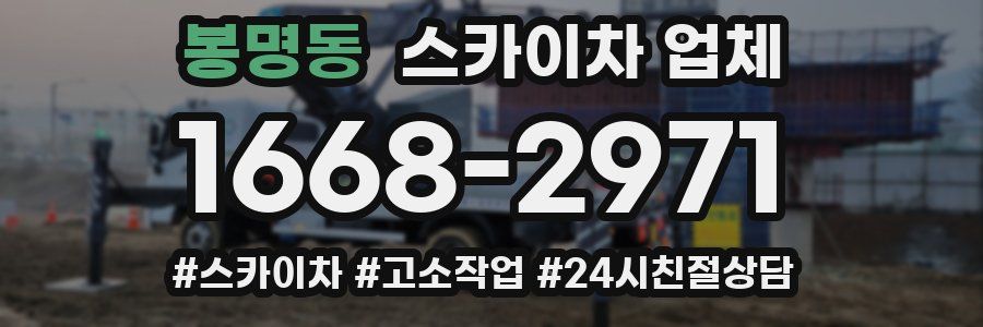 봉명동 스카이차 업체