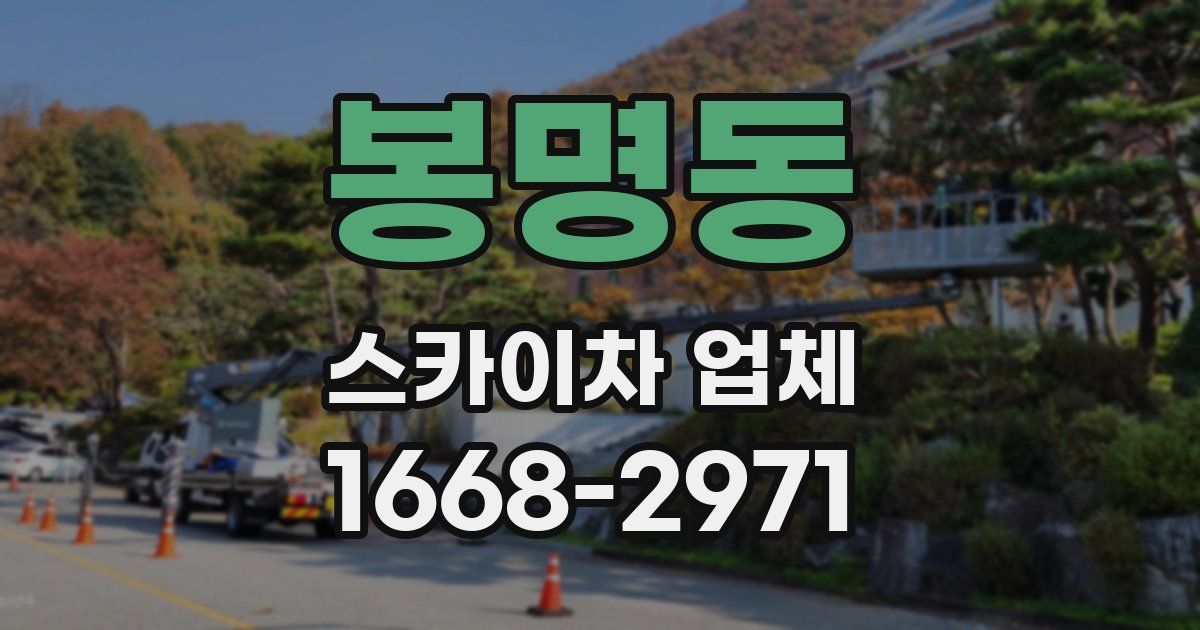 봉명동 스카이차 업체