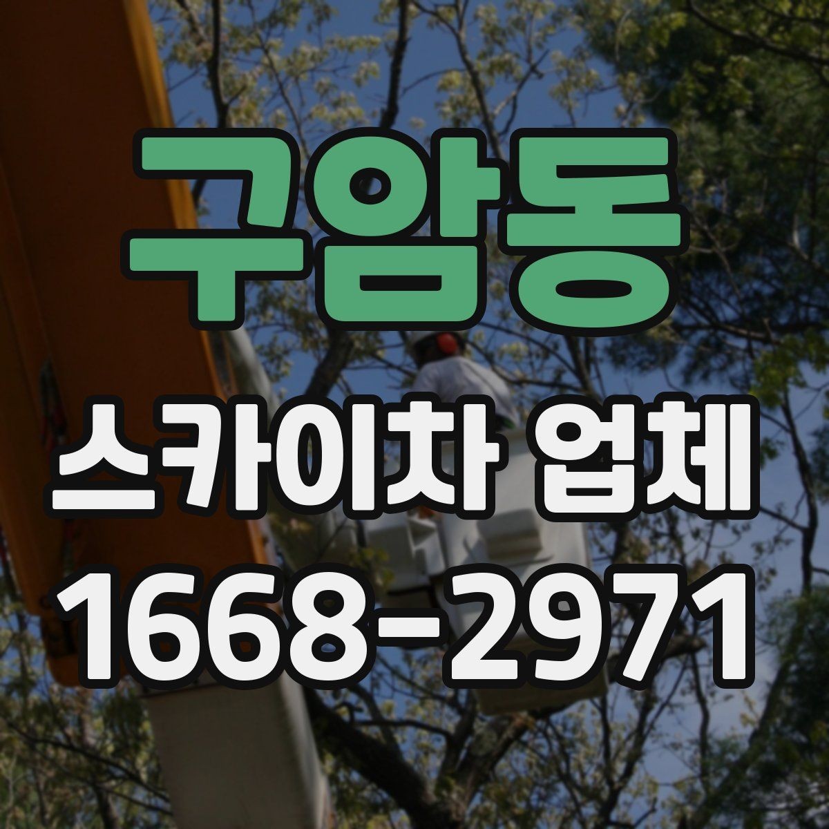 구암동 스카이차 업체 이용이 편리한 현장 유형