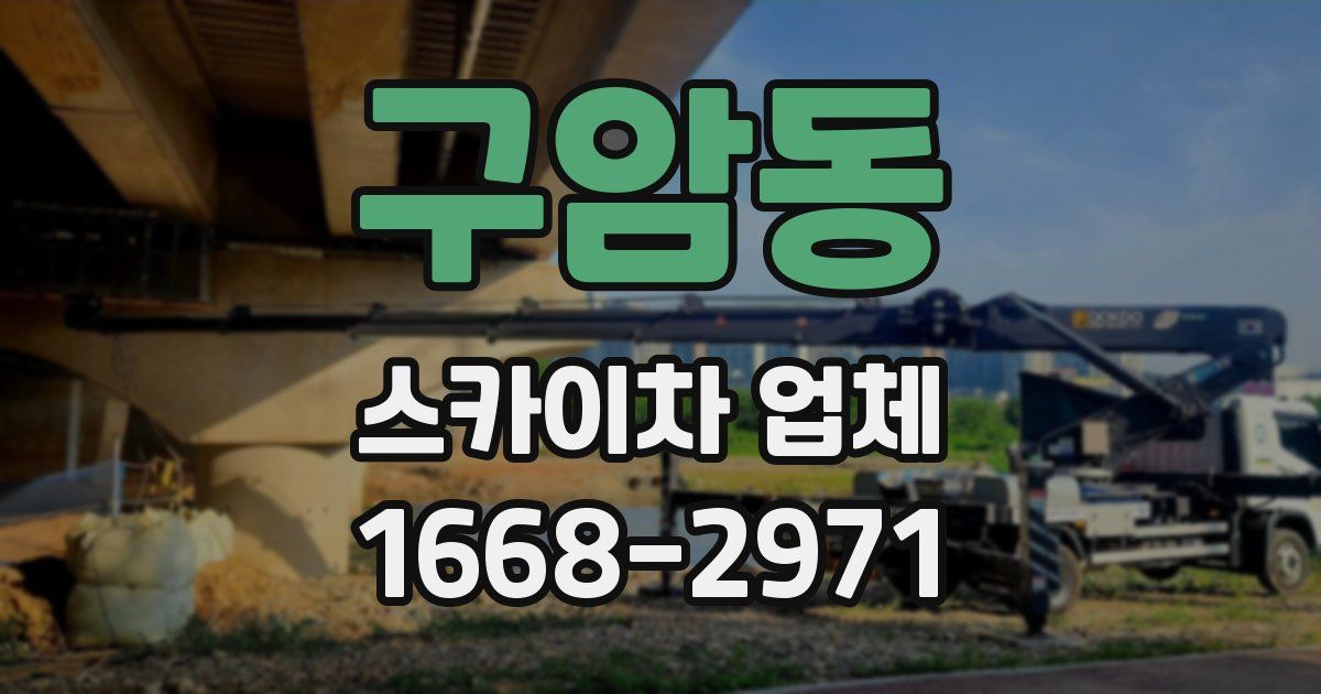 구암동 스카이차 업체