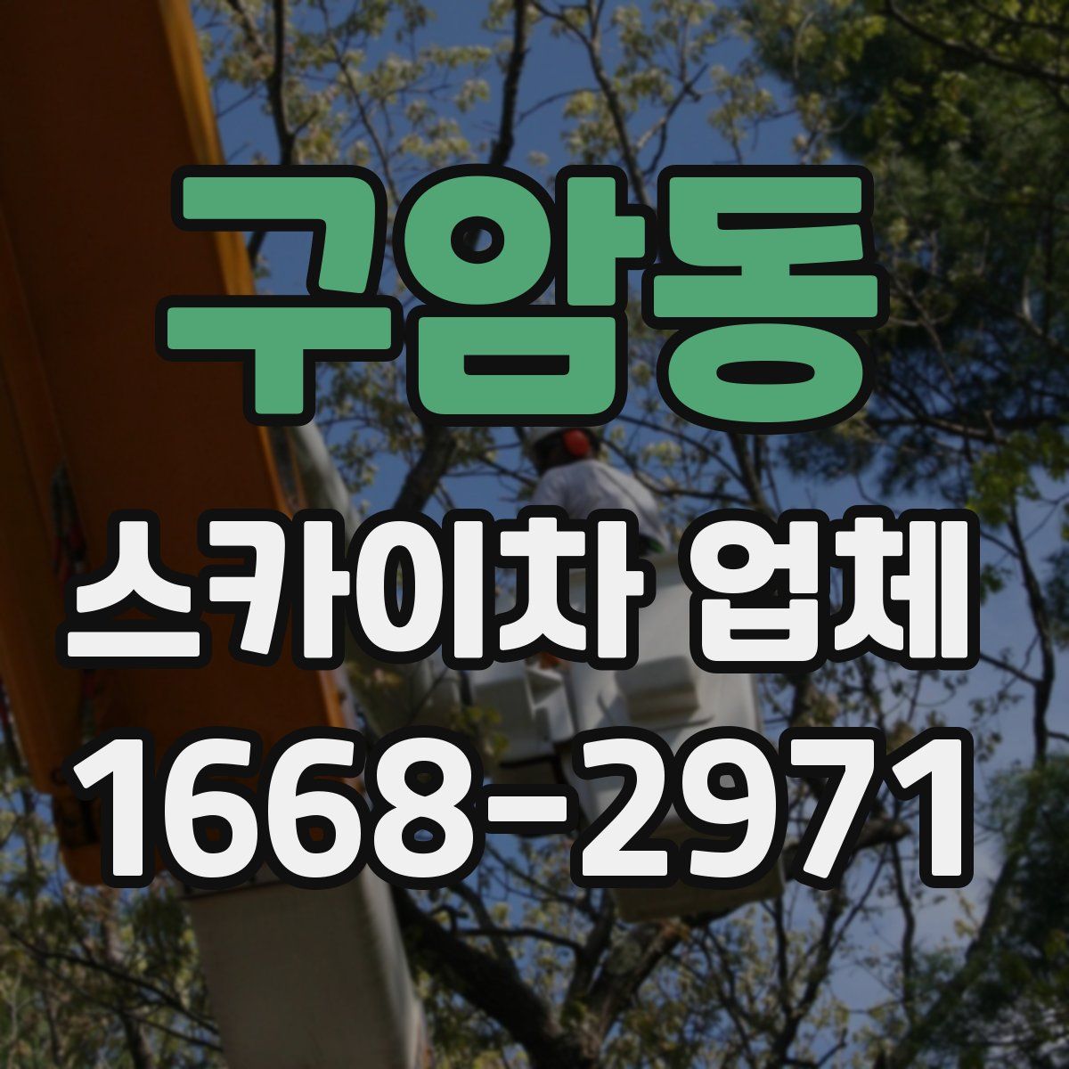 구암동 스카이차 업체