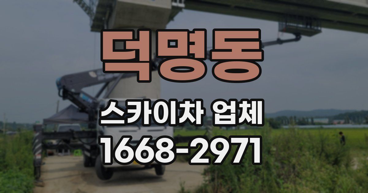 덕명동 스카이차 업체
