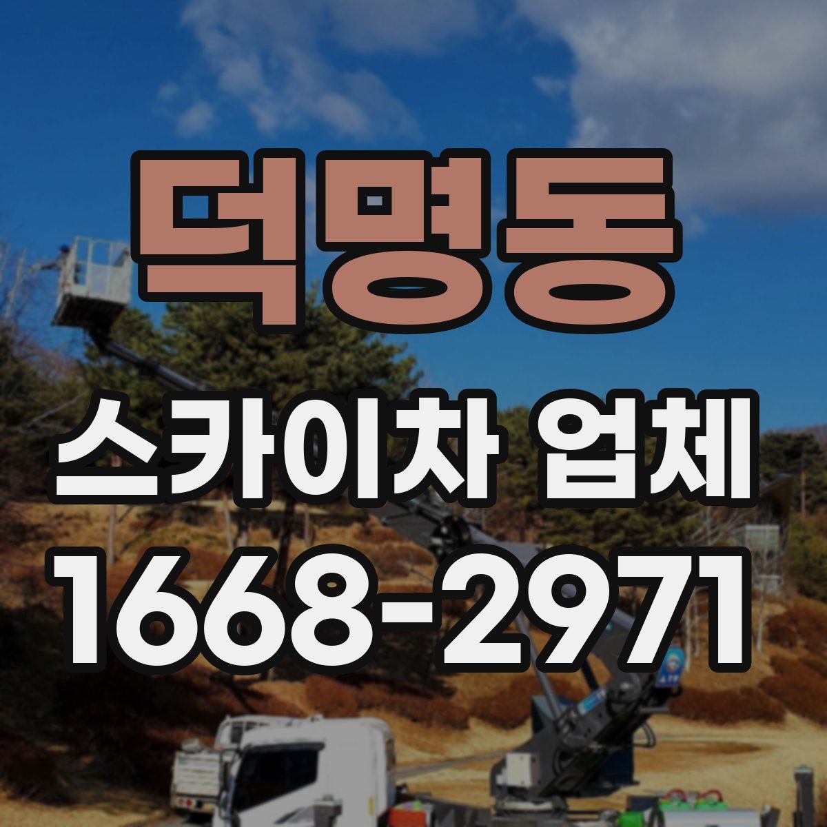 덕명동 스카이차 업체