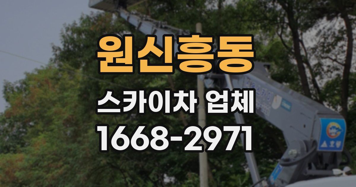 원신흥동 스카이차 업체
