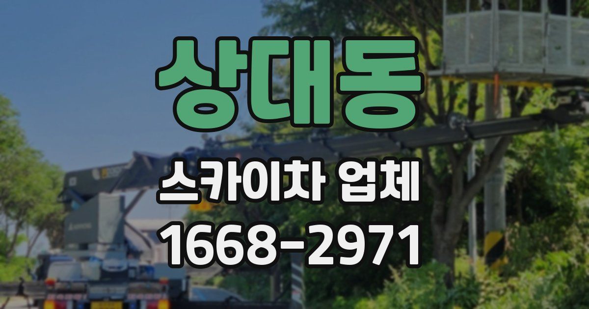 상대동 스카이차 업체