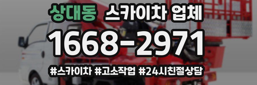 상대동 스카이차 업체