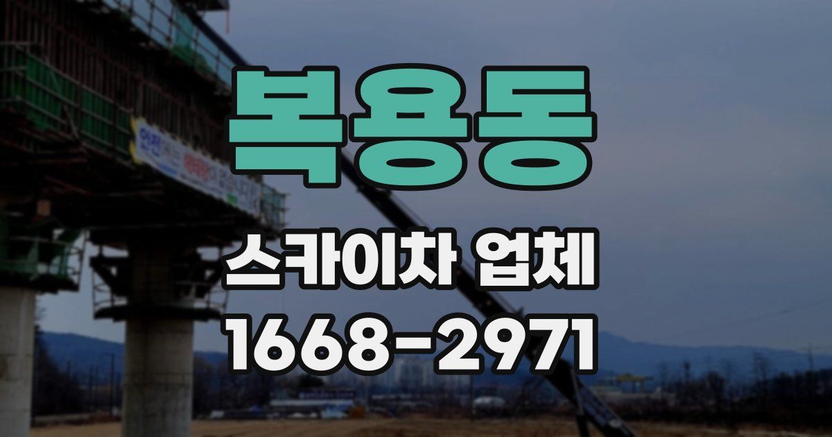복용동 스카이차 업체