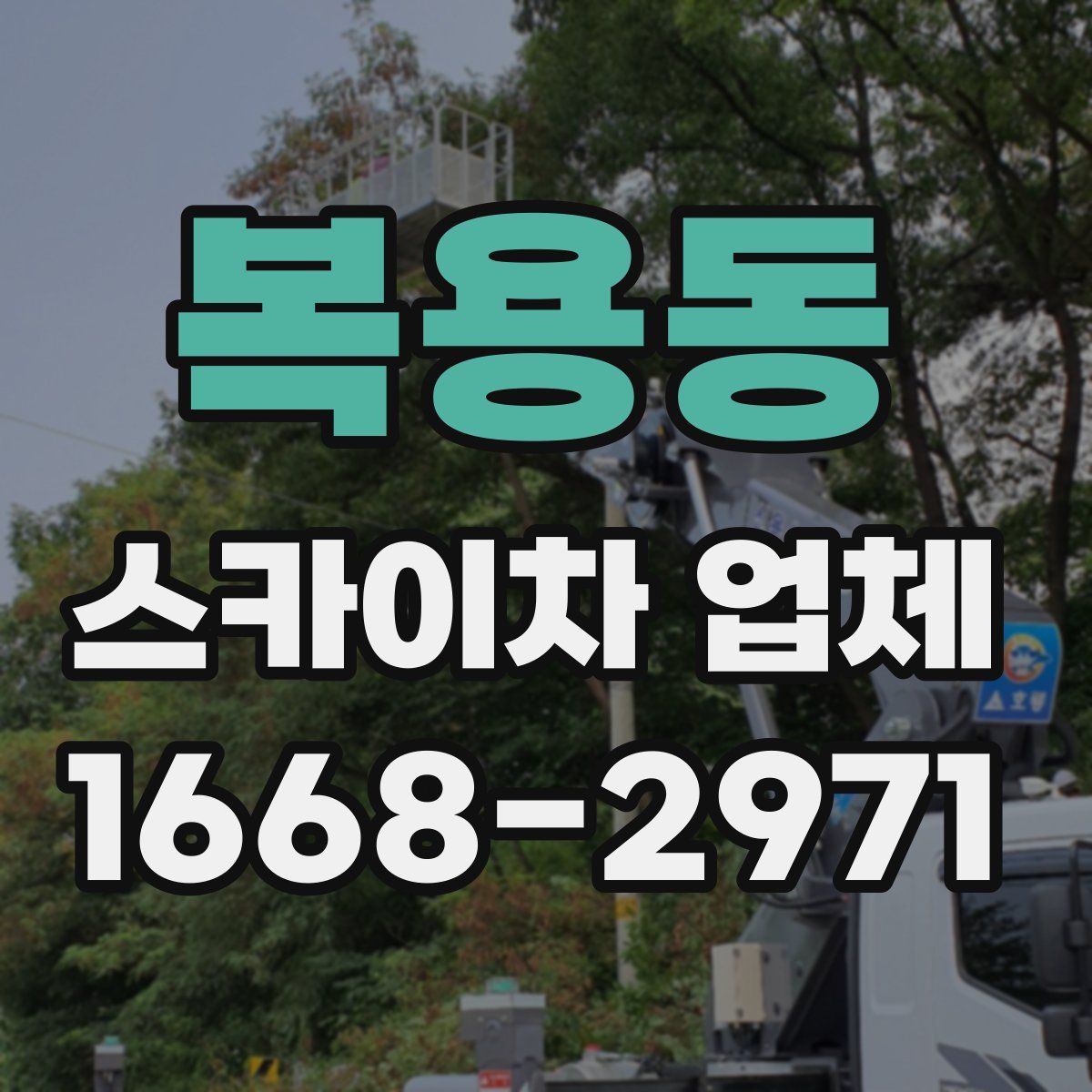 복용동 스카이차 업체